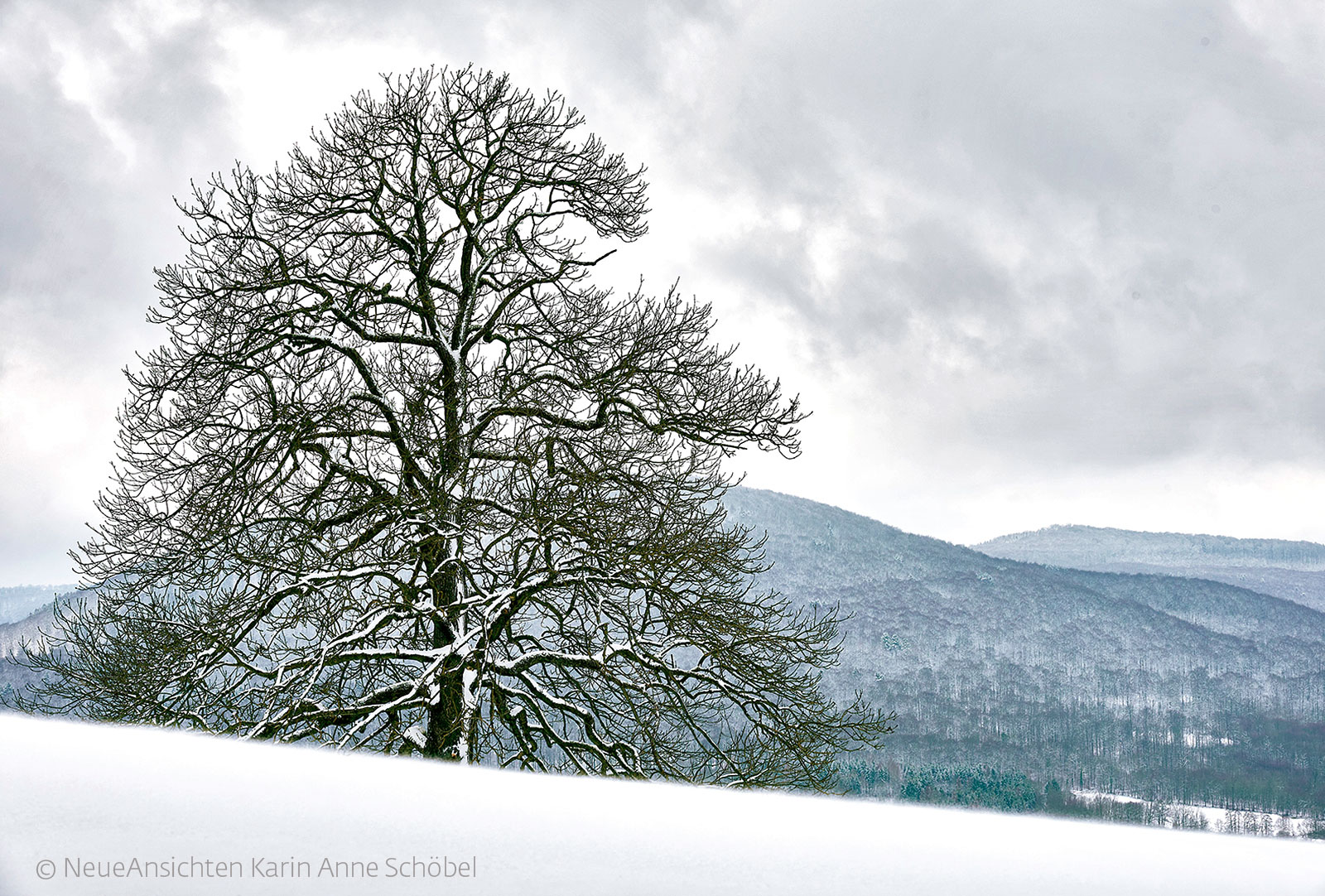 Kalender „Rhön 2022 – Neue Ansichten“ Winter im Ulstertal # Biosphärenreservat Rhön © Karin Anne Schöbel, Verlag Neue Ansichten, Gersfeld