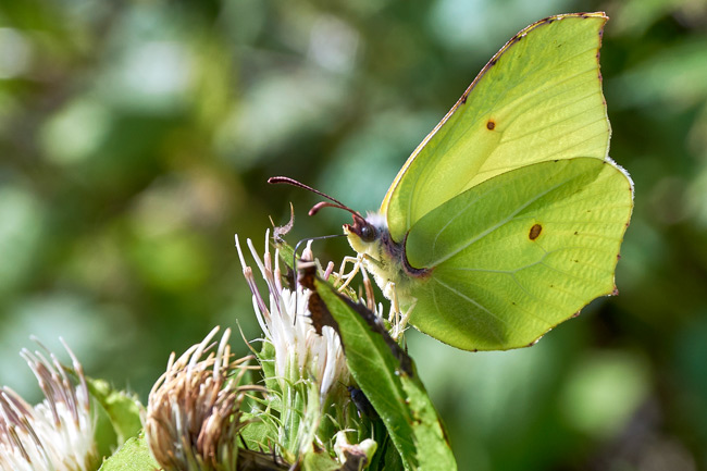 © Karin Anne Schöbel # Neueansichten.de